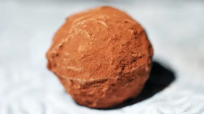 Japanese Chocolate Truffles with Koji Salt Recipe (塩麹入りのトリュフチョコレート)