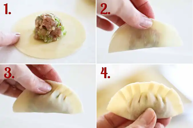 Japanese Vegetarian Gyoza ( 野菜餃子 / ぎょうざ ) Recipe - 02