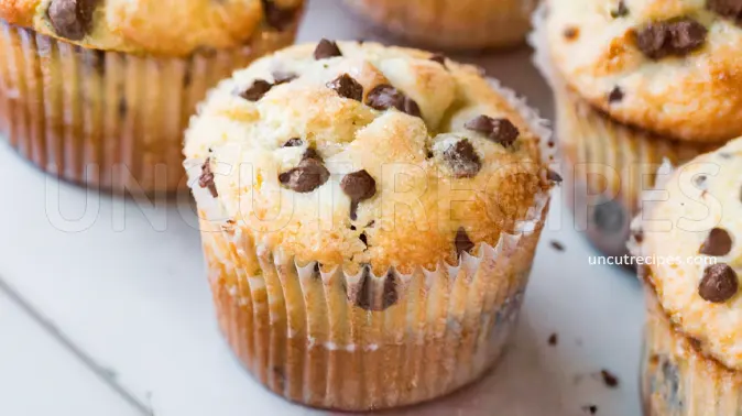 Chocolate Chip Muffins Recipe Chocolate Chip Muffins Recipe