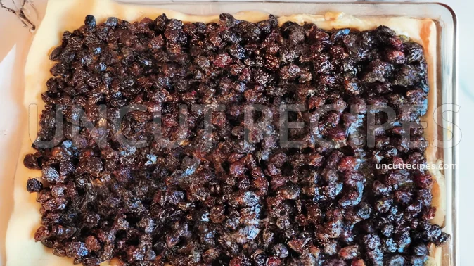 Traditional Scottish Fruit Slice Recipe ( Fly Cemetery Recipe ) - 09